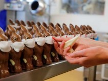 Fotos da semana: Coelhos mascarados, medita��o na praia, pir�mide da vila