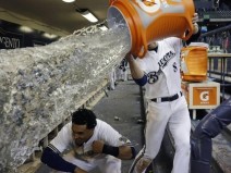 16 Pessoas cujo anjo da guarda nunca dorme