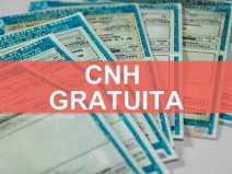 Carteira de habilita��o de gra�a
