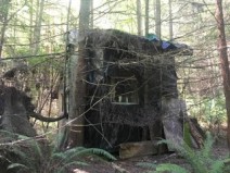 Um homem tropea em um galho de rvore encontra cabana misteriosa de madeiras na floresta