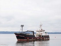 Cinco mortos em naufrgio no mar de Bering