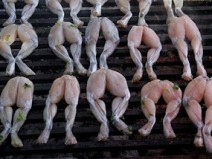 10 Comida mais loucos no mundo que voc no vai acreditar que existir