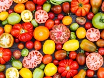 Receitas e passeios para comemorar e aproveitar o Dia do Tomate