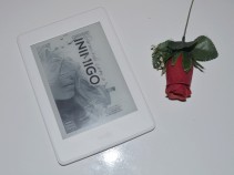 Resenha liter�ria: Dormindo com o Inimigo