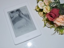 Resenha liter�ria: A Amante do meu marido