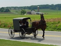 Curiosidades Sobre os Amish ?