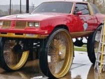 � por isso que o brasileiro � a ra�a mais zoeira do mundo