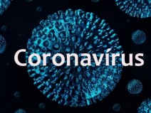 Coronavrus: o que voc precisa saber