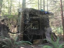 Um homem trope�a em um galho de �rvore encontra cabana misteriosa de madeiras na floresta