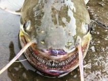 20 Fotografias que podem te assustar