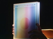 Conhe�a a Constitui��o do Orgulho LGBTQI+