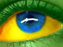 Os 12 defeitos mais insuport�veis dos brasileiros