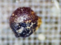 Esferas de metal �an�malas� provavelmente n�o s�o tecnologia alien�gena, apesar da afirma��o do cientista de H