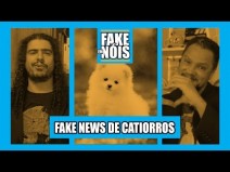 Analisamos 15 notcias envolvendo cachorros! Quais so verdadeiras e quais so fake?