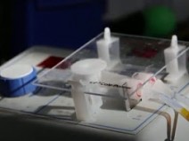 Clula de combustvel inversa transforma CO2 em produtos valiosos