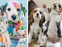 5 truques da psicologia para viver feliz