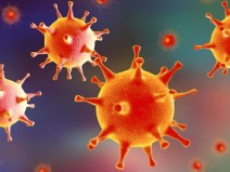 Coronav�rus: O que precisamos saber sobre o Coronav�rus?