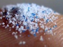 Comemos Pl�sticos Frequentemente e n�o Percebemos