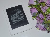 Resenha liter�ria: N�o Se Apaixone Por Mim