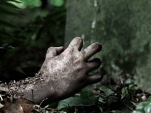 Voc� j� viu corpos em decomposi��o que se movem?