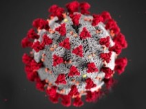 O coronav�rus espalha-se rapidamente, antes de haver sintomas