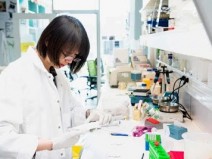 Cientistas testam a vacina contra o sarampo no COVID-19