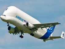 Avi�es bizarros que eram melhor n�o terem sido fabricados