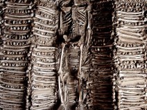 CORONAV�RUS: 100 MIL MORTES E 3 MILH�ES DE INFECTADOS NO BRASIL 