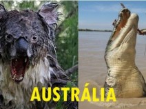 20 sinais revelam - Austrlia  um pas de dar arrepios