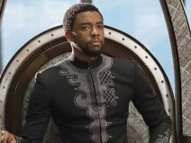 Tudo sobre o Pantera Negra