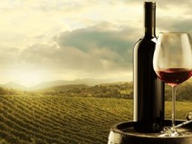 Vinhos brasileiros podem ser melhores para a sa�de que os estrangeiros