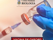 Vacina de Oxford contra a Covid-19 produz resposta imunitria