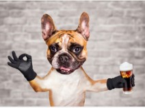 Mantenha a Positividade Durante a Quarentena