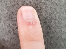 14 Fotos que vo fazer voc gritar a merda.