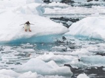 Com 20,75 � C, Ilha Ant�rtica atinge temperatura recorde