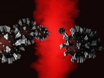 CORONAV�RUS: 90 mil mortes e 2,5 milh�es de casos no Brasil 