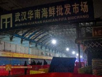 Engenheiro gen�mico russo tem teoria sobre o paciente zero COVID-19