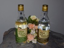 Resenha: Linha Vem que No Tem da Sou Dessas