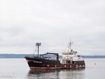 Cinco mortos em naufr�gio no mar de Bering